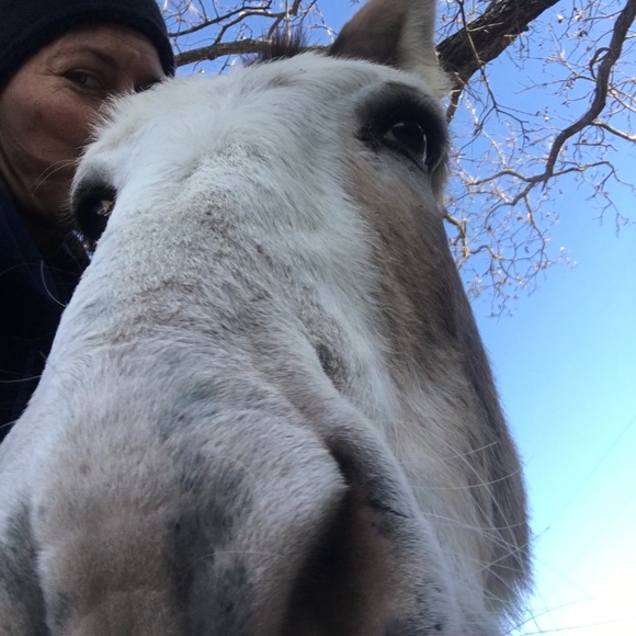 Meet your Posher, L - Picture 1 of 1